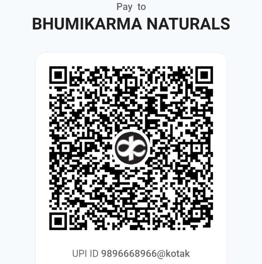 Secure UPI QR Code